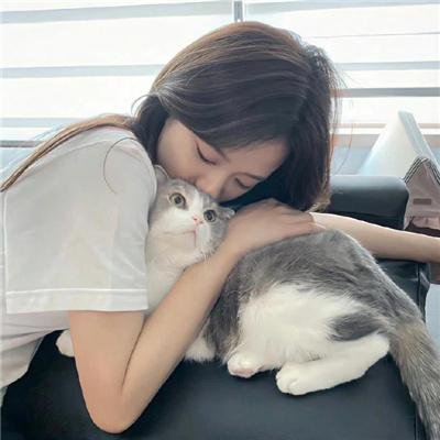 白痴5和哭喊的夫人